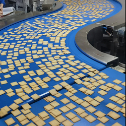 cooling conveyor 3_618_618.jpg