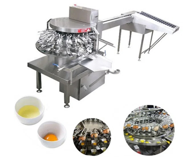 bakery egg breaking machine1.jpg