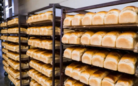 //inrorwxhoqjlln5p.ldycdn.com/cloud/liBpqKqplmSRilnjnkrnjp/bread-bakery-machine-suppliers-in-ethiopia.jpg