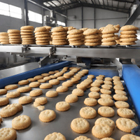 //inrorwxhoqjlln5p.ldycdn.com/cloud/liBpqKqplmSRilpijkrojp/bakery-machine-oven.jpg