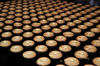 Steel Strip Cookie Production Line