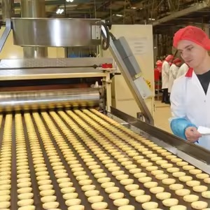 bakery equipment cake machine bread demoulding1