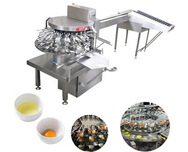 egg breaking machine for bakery1