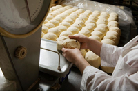 //inrorwxhoqjlln5p.ldycdn.com/cloud/ljBpqKqplmSRilmjkmlljm/bakery-equipment-from-holland.jpg