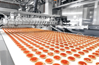 //inrorwxhoqjlln5p.ldycdn.com/cloud/ljBpqKqplmSRilpjjqpljm/food-processing-machine-for-bakery.jpg