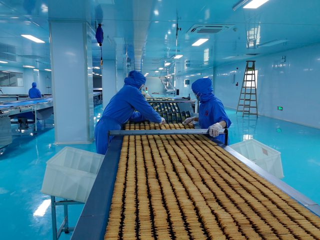 Production Line for Making Biscuit