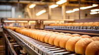 //inrorwxhoqjlln5p.ldycdn.com/cloud/lkBpqKqplmSRilnjokqmjm/bakery-equipment-for-sale-in-zambia.jpg