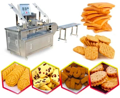 biscuit making equipment2