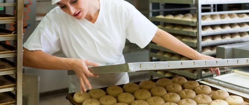bakery equipment dealers in belgaum.jpg