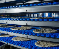 //inrorwxhoqjlln5p.ldycdn.com/cloud/llBmqKqplmSRmknpnmmrjr/bakery-conveyor-equipment1.jpg