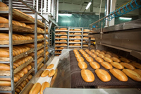 //inrorwxhoqjlln5p.ldycdn.com/cloud/llBmqKqplmSRmkqpknnpjr/bakery-processing-equipment-market2.jpg