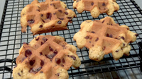 //inrorwxhoqjlln5p.ldycdn.com/cloud/llBpqKqplmSRilkiojrijq/cookie-dough-in-waffle-machine.jpg