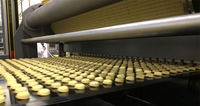 //inrorwxhoqjlln5p.ldycdn.com/cloud/llBpqKqplmSRillirlnmjp/bakery-machine-manufacturers-in-ghaziabad.jpg