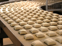 //inrorwxhoqjlln5p.ldycdn.com/cloud/llBpqKqplmSRilrrlppkjp/bakery-machine-for-sale-in-ethiopia.jpg
