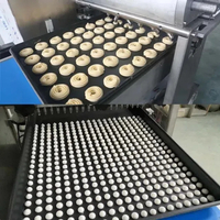 //inrorwxhoqjlln5p.ldycdn.com/cloud/lmBpqKqplmSRilljkonpjp/biscuit-bakery-machine.jpg