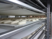 //inrorwxhoqjlln5p.ldycdn.com/cloud/lmBpqKqplmSRilpjlpkkjp/injera-bakery-machine.jpg