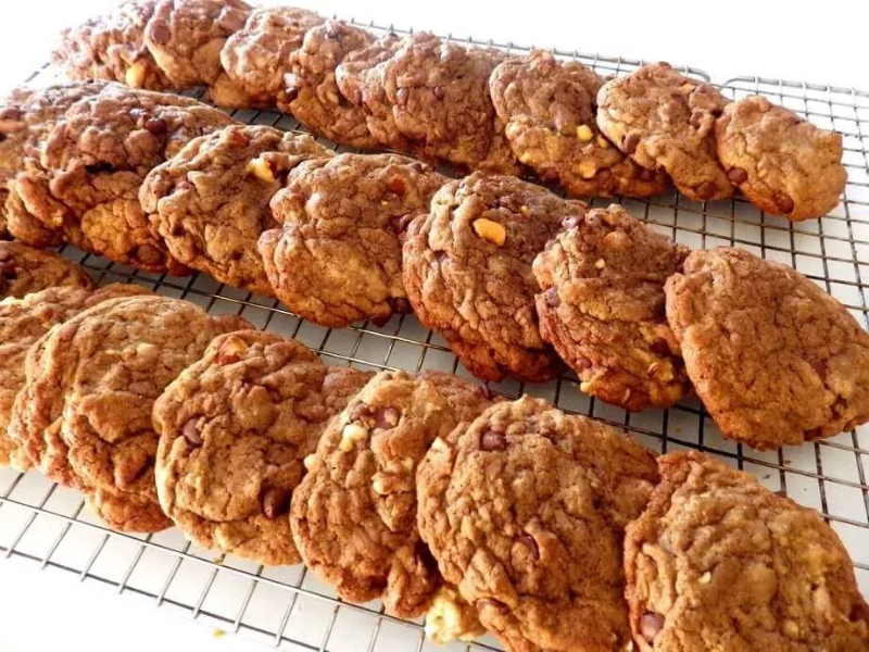 can you make cookie stencils on a cricut machine1
