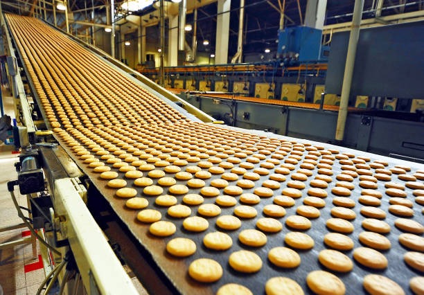 industrial bakery machine.jpg