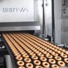 Soft And Hard Biscuit Production Line