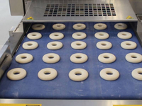 //inrorwxhoqjlln5p.ldycdn.com/cloud/loBpqKqplmSRillirlljjq/bakery-machine-manufacturer-in-ludhiana.jpg