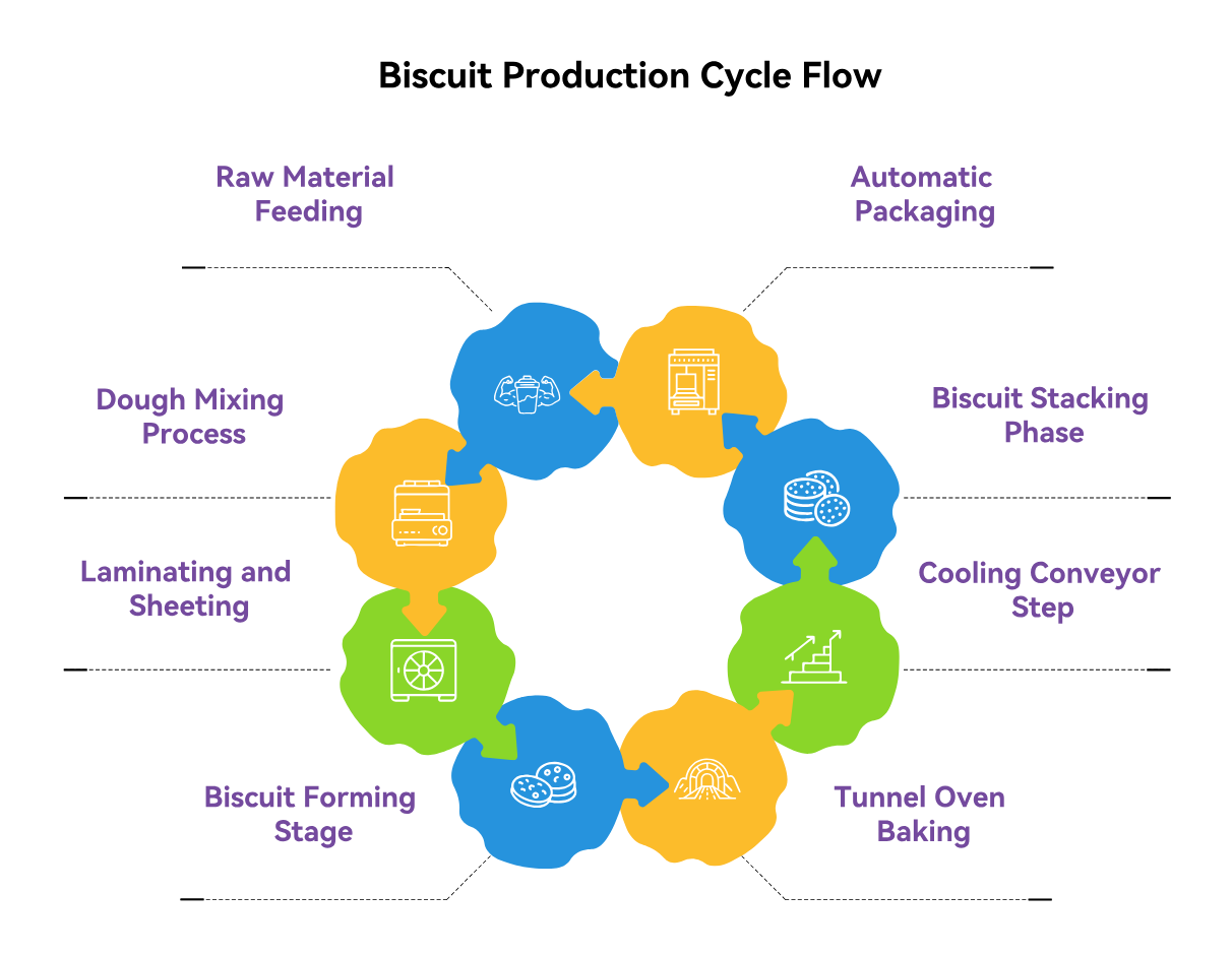 biscuit production cycle flow