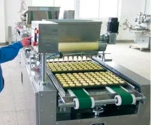 definition of auxiliary equipment4