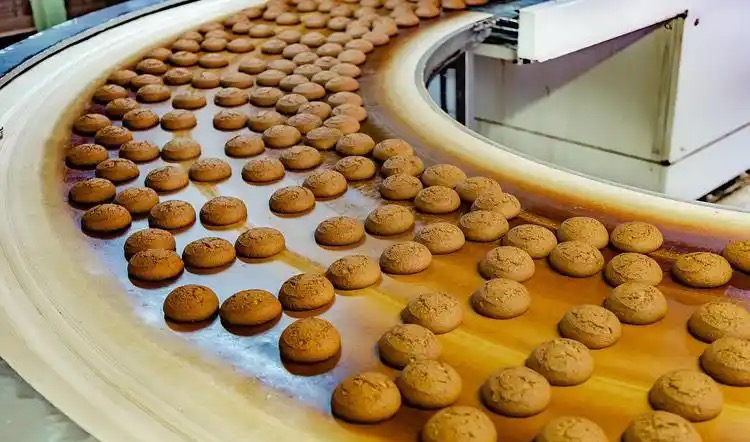 amazon biscuit machine