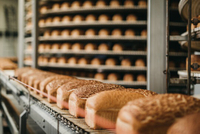 //inrorwxhoqjlln5p.ldycdn.com/cloud/lqBpqKqplmSRrlinkpkqjp/sanyo-home-bakery-bread-machine.jpg