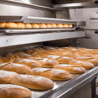 //inrorwxhoqjlln5p.ldycdn.com/cloud/lrBmqKqplmSRmkqpnnlkjr/bakery-proofing-equipment2.jpg