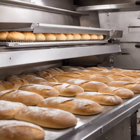 //inrorwxhoqjlln5p.ldycdn.com/cloud/lrBpqKqplmSRilirrkpqjp/bakery-machine-for-sale-in-south-africa.jpg