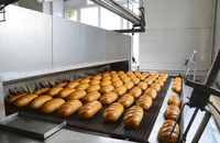 //inrorwxhoqjlln5p.ldycdn.com/cloud/lrBpqKqplmSRilliilrmjp/bakery-equipment-for-sale-in-gauteng.jpg