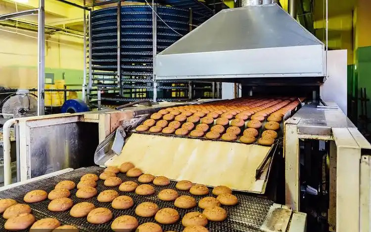 can bread machine yeast be used for regular baking