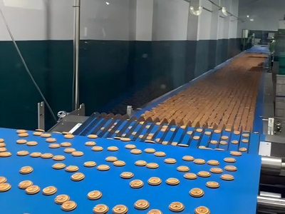 After upgrading the biscuit production line for our Thai customer.jpg