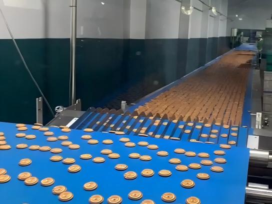 Thailand Biscuit Manufacturer Upgrades to a 1,000 kg/h Automated Biscuit Production Line