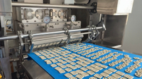 //inrorwxhoqjlln5p.ldycdn.com/cloud/ppBpqKqplmSRqlrjmprpjm/Pretzel-Biscuit-Production-Line.jpg
