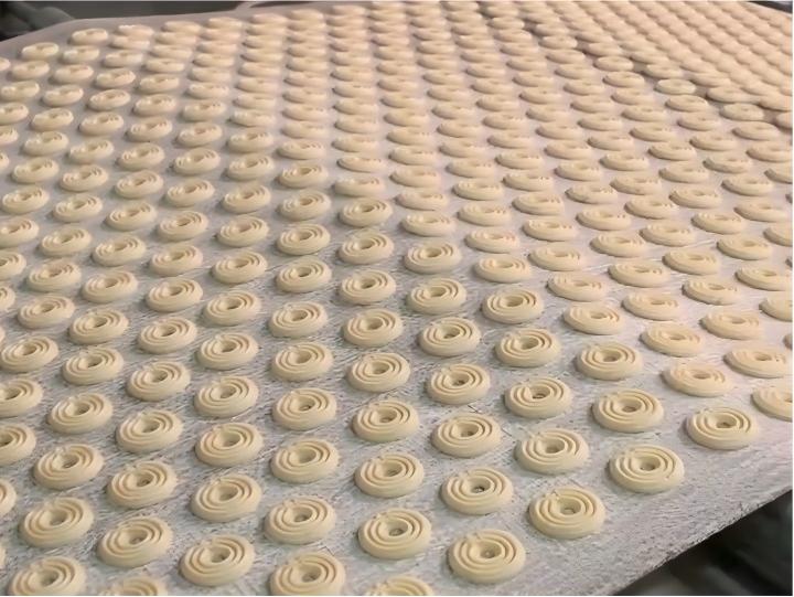 Biscuit production line factory on-site commissioning